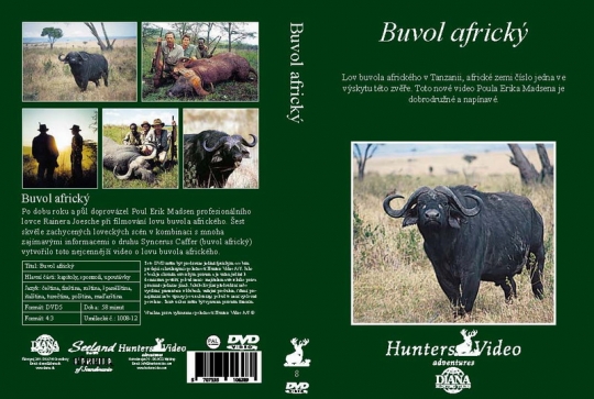 Buvol africký