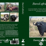 Buvol africký