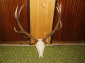 PREDANY ZA 3400