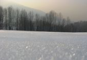 mrazík 1
