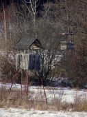 Kamoši