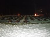 Spoločná poľovačka na diviaky Debrecen (28.01.2012)