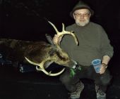 November 2011