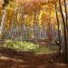 Niečo s leta a s manína....