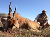 Eland Livingstone