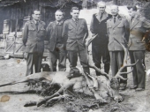rok 1960