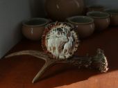 ruja