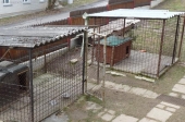 Kotce