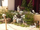 Polovnícka výstava Podbiel 2011/2012 polovnej zveri