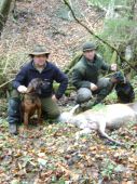 Rok 2010 jedna z uspesnych dohladavok(a hlavne spolupraca farbiara s kopovom)