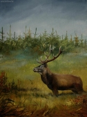 Hirsch