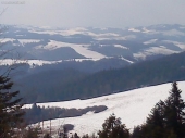 zamagura
