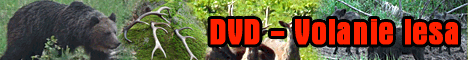 dvd Volanie lesa