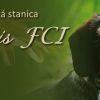 Arvansis FCI