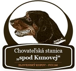 Spod Kunovej