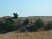 Jeden výstrel alebo americký „krst ohňom“ guľovnice CZ 557