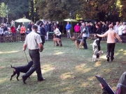 Chovateľom Slovenského kopova