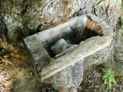 Prikrmovanie lesnej zveri