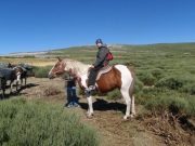 Na kozorožce do Španielska