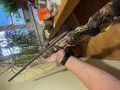 Tikka t3x 308w - diskusia