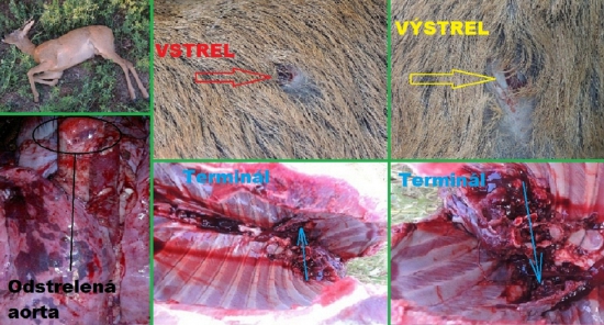 Blaser CDP 12,7g 8x57 IRS