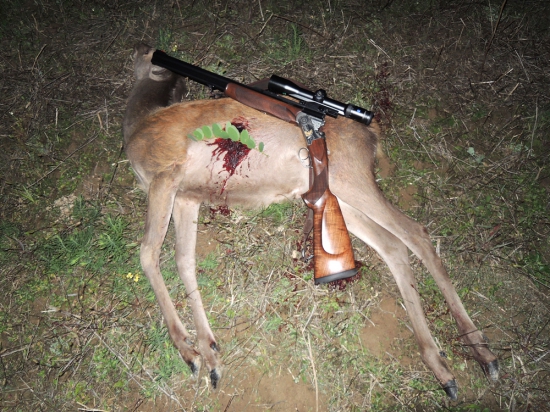 moje prvé jelienča