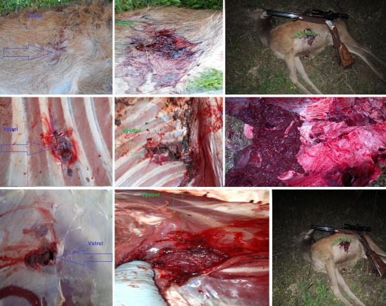 Blaser CDP 12,7g-8x57 IRS