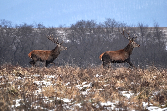 konečne som mal i ja šťastie