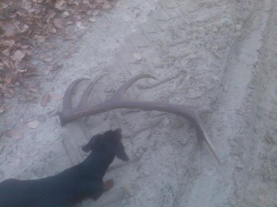 Môj prvý v mojom zivote...