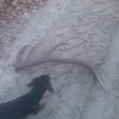 Môj prvý v mojom zivote...