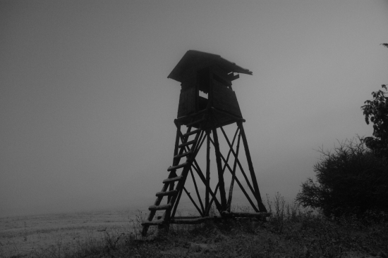 Šťastný nový rok :)