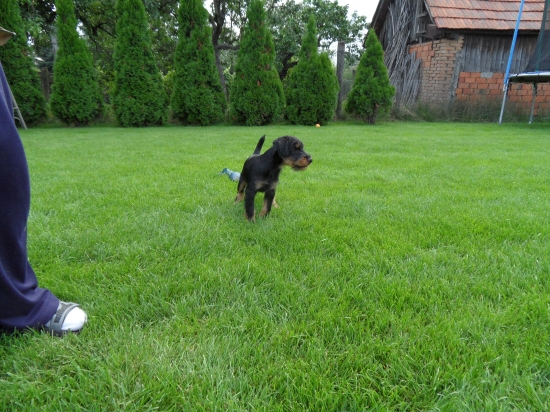 Khan Komjatické jazero