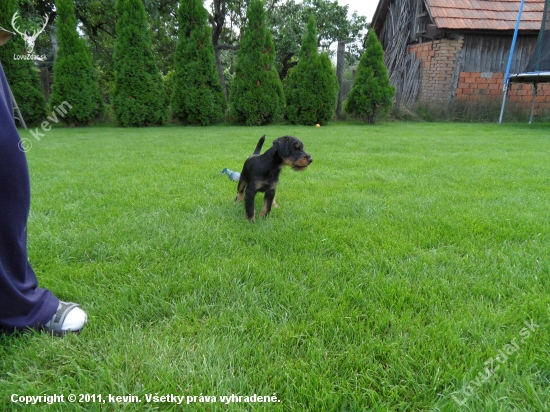 Khan Komjatické jazero