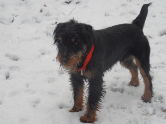 Khan Komjatické jazero