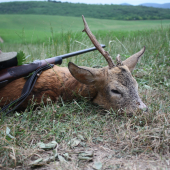 Keď sa šťastie unaví