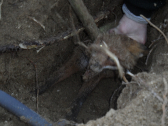 uspešné norovanie 2