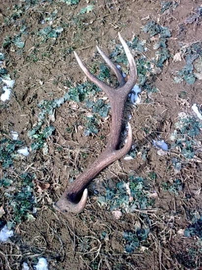 po dlhom hladani konečne prvy