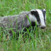 Při cestě z práce