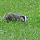 Při cestě z práce 2