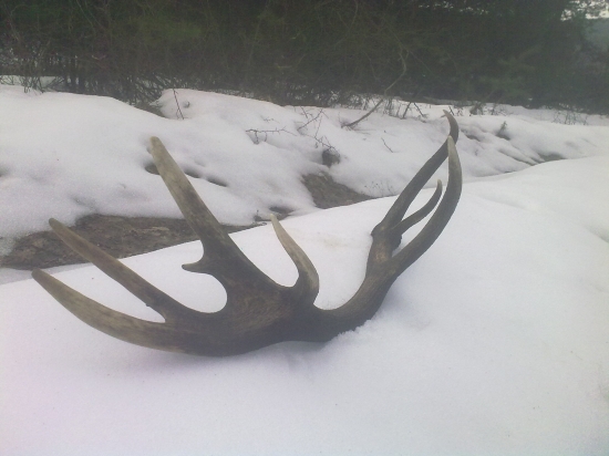 A sezona je zahájená!!!