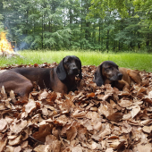 Mesiac poľovnictva zahájen!