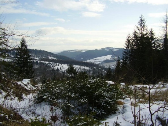 OD HACKA SNEROM NA ZBOROV