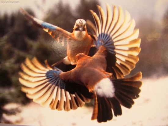 FOTO P.VELICKU-LONSKA VYSTAVA