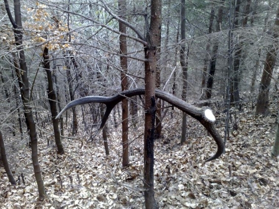 len tak si tam visel