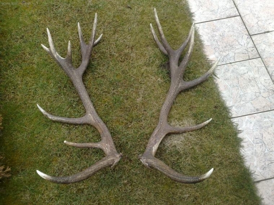18torak 8kg