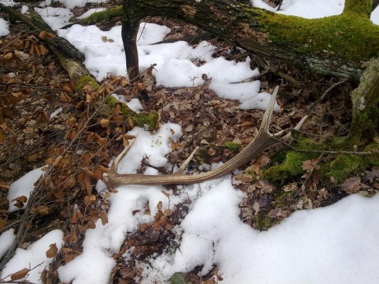 dnes sa opäť za darilo