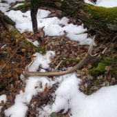 dnes sa opäť za darilo