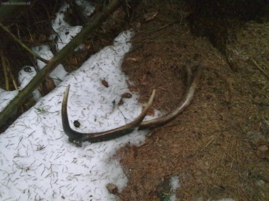 10torak minuloročný