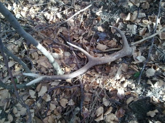 DNES,aj takýto už púšťajú