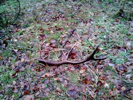 takto na mňa čakal